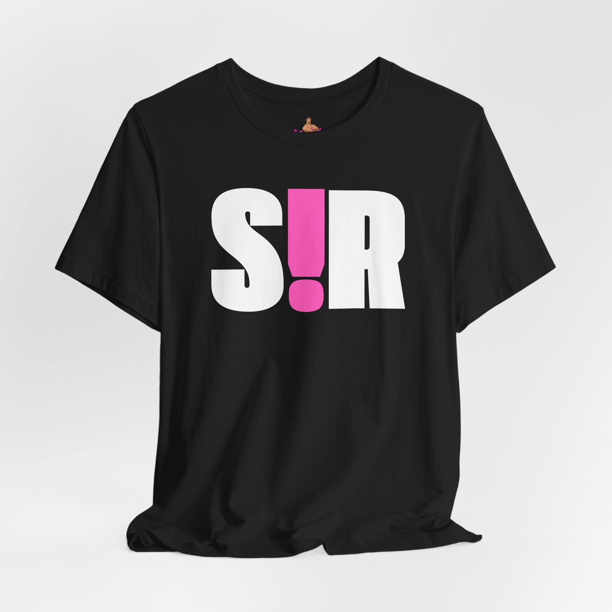 Black t-shirt with white and pink text on a light gray background Kink, LGBTQIA+, Queer Sub Dom