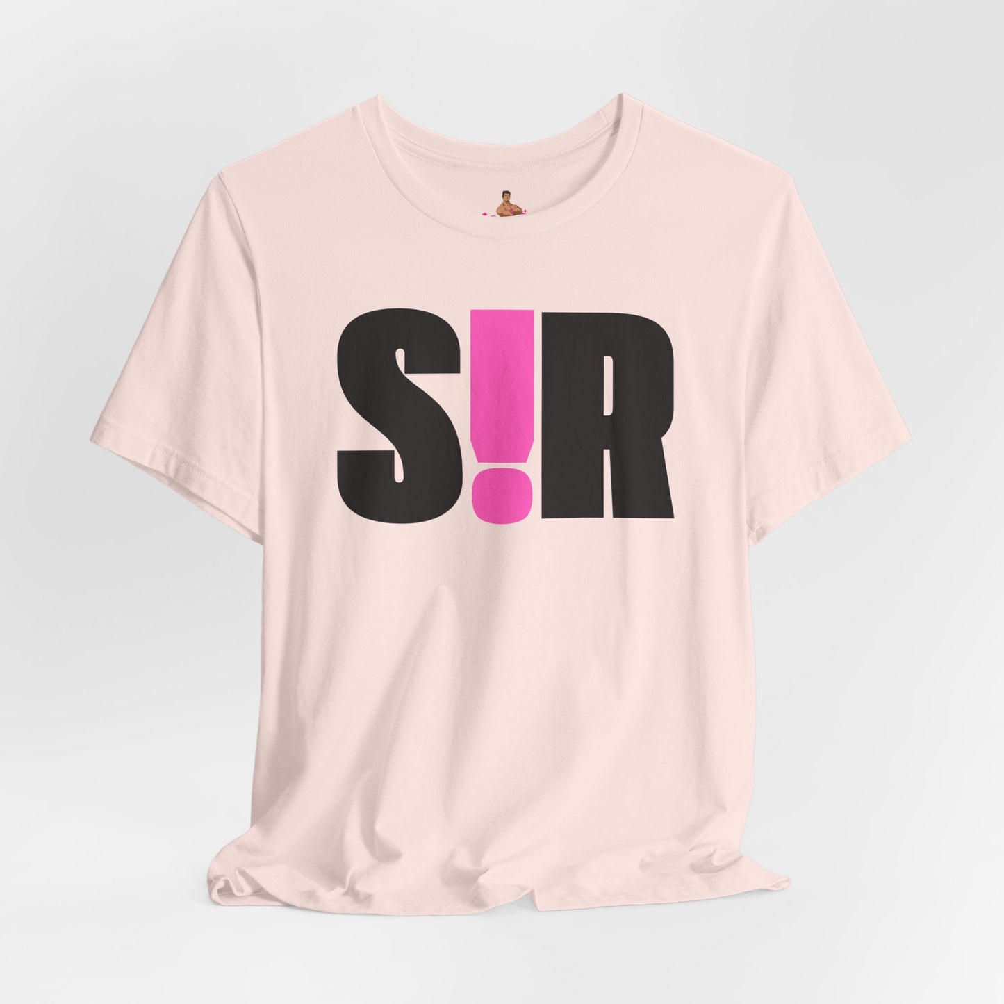 Pink t-shirt with 'S!R' text on a light gray background Kink, LGBTQIA+, Queer Sub Dom