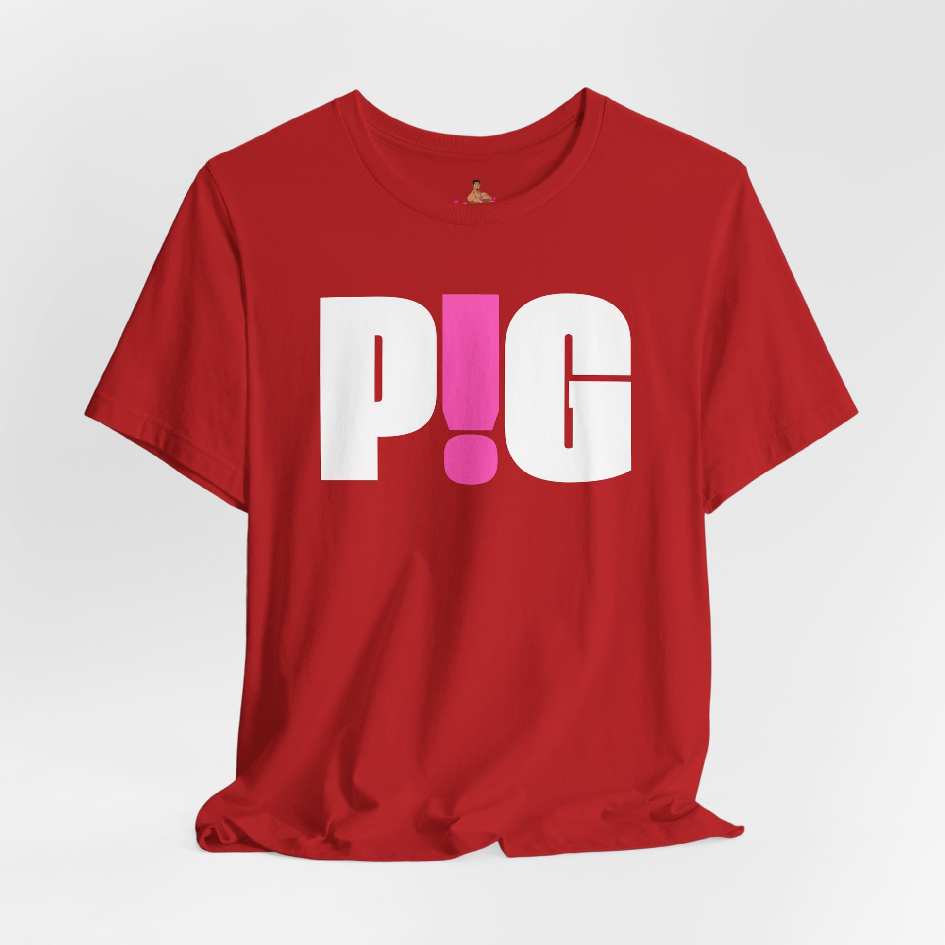 Red t-shirt with 'PIG' printed in white and pink on a light gray background Kink, LGBTQIA+, Queer Sub Dom Pig, Piggy
