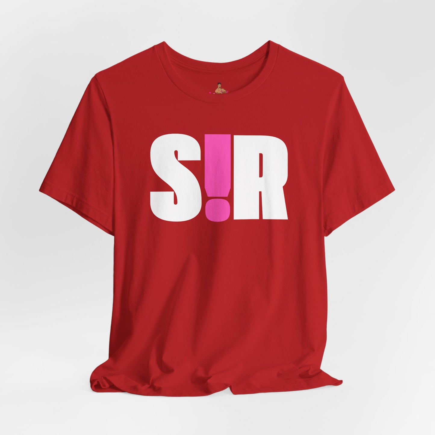 Red t-shirt with white and pink text on a light gray background Kink, LGBTQIA+, Queer Sub Dom